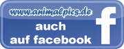 animalpics auf facebook